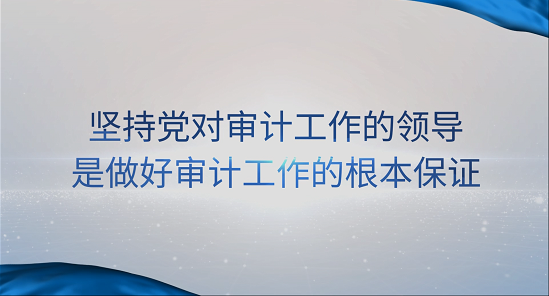 [專家談審計法]王偉：堅持黨對審計工作的領(lǐng)導(dǎo)是做好審計工作的根本保證 