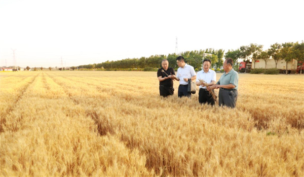 審計人員現(xiàn)場查看審計項目整改情況